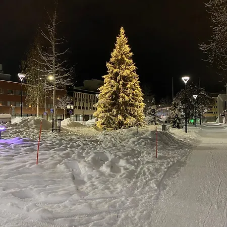 Apartament Leppae Rovaniemi